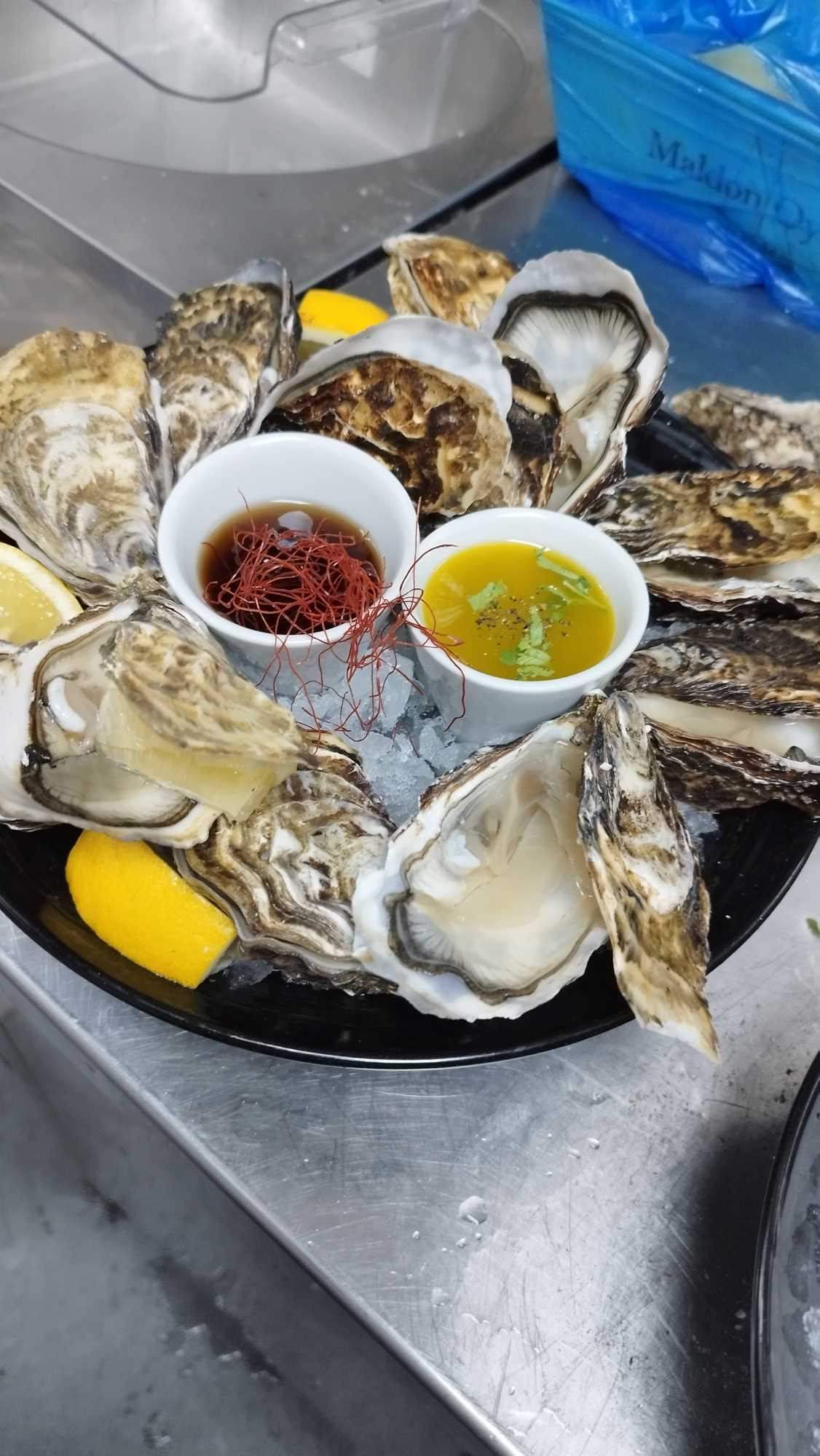 Fresh Oysters